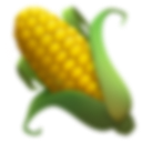 Product Corn